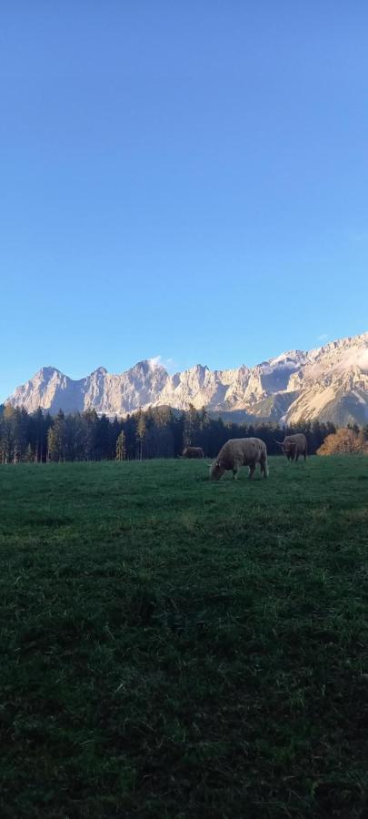 Landhaus-Koenigsberg, Vorberg 360 Ebenguetlweg Ramsau am Dachstein Ngoại thất bức ảnh